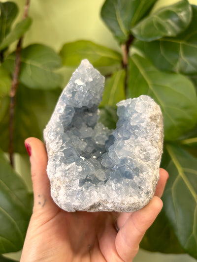 Celestite Rough