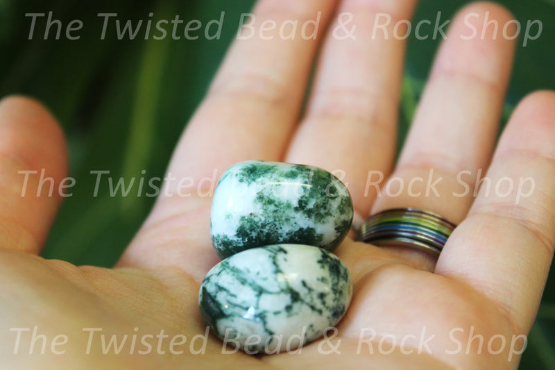 Tree Agate Tumbled Crystals