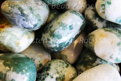 Tree Agate Tumbled