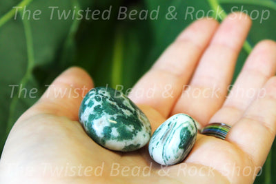 Tree Agate Tumbled